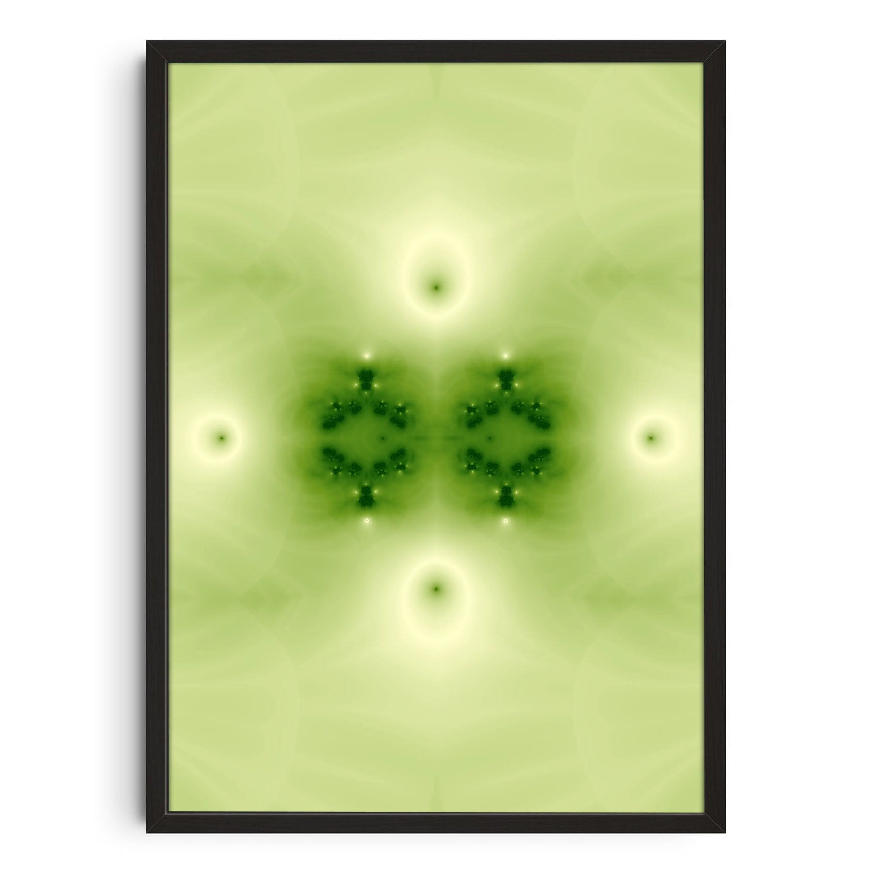 Boluma Automata Studio