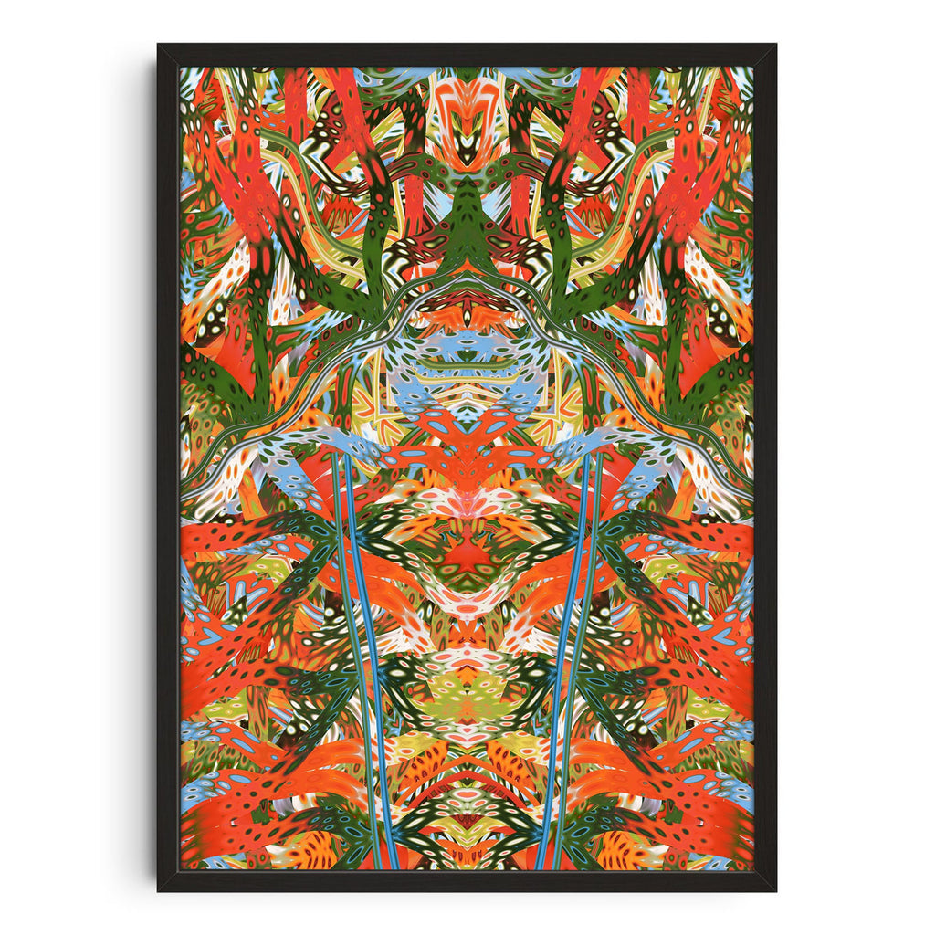 Brasil Automata Studio