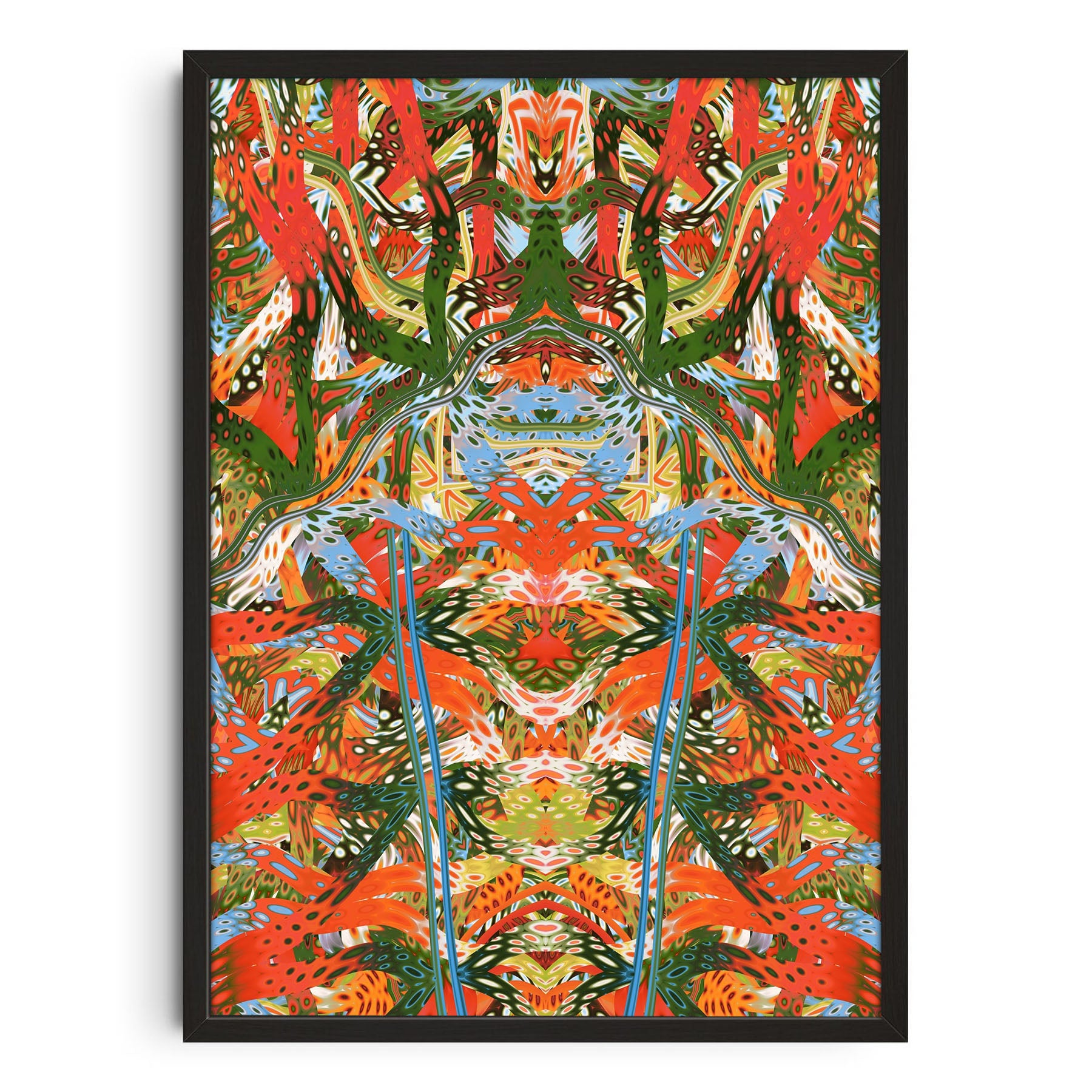 Brasil Automata Studio